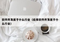 软件开发属于什么行业（应用软件开发属于什么行业）