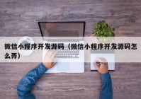 微信小程序开发源码（微信小程序开发源码怎么弄）