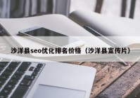 沙洋县seo优化排名价格（沙洋县宣传片）