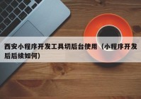 西安小程序开发工具切后台使用（小程序开发后后续如何）