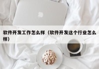 软件开发工作怎么样（软件开发这个行业怎么样）