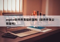 aspice软件开发组织架构（软件开发公司架构）