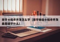 想学小程序开发怎么学（想学微信小程序开发最基础学什么）