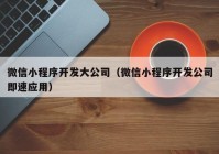 微信小程序开发大公司（微信小程序开发公司即速应用）