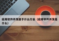 应用软件开发属于什么行业（应用软件开发是什么）