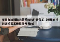 哪里有培训做鸿蒙系统软件开发的（哪里有培训做鸿蒙系统软件开发的）