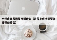 小程序开发需要用到什么（开发小程序需要掌握哪些语言）