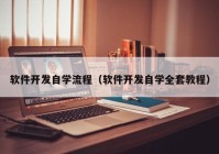 软件开发自学流程（软件开发自学全套教程）