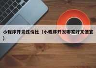 小程序开发性价比（小程序开发哪家好又便宜）