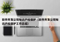 软件开发公司知识产权保护（软件开发公司知识产权保护工作总结）