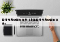 软件开发公司有哪些（上海软件开发公司有哪些）