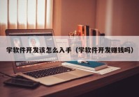 学软件开发该怎么入手（学软件开发赚钱吗）