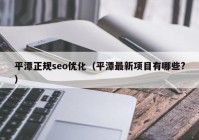 平潭正规seo优化（平潭最新项目有哪些?）