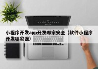 小程序开发app开发哪家安全（软件小程序开发哪家强）