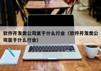 软件开发类公司属于什么行业（软件开发类公司属于什么行业）