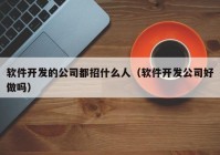 软件开发的公司都招什么人（软件开发公司好做吗）