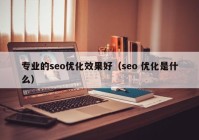 专业的seo优化效果好（seo 优化是什么）