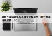 软件开发培训机构去哪个学校上学（软件开发培训学校什么）