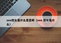 seo优化是什么意思呢（seo 优化是什么）