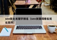 seo优化关键字排名（seo关键词排名优化软件）