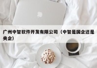 广州中智软件开发有限公司（中智是国企还是央企）