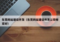 东莞网站建设开发（东莞网站建设开发公司哪家好）