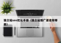 独立站seo优化手册（独立站推广渠道有哪些）